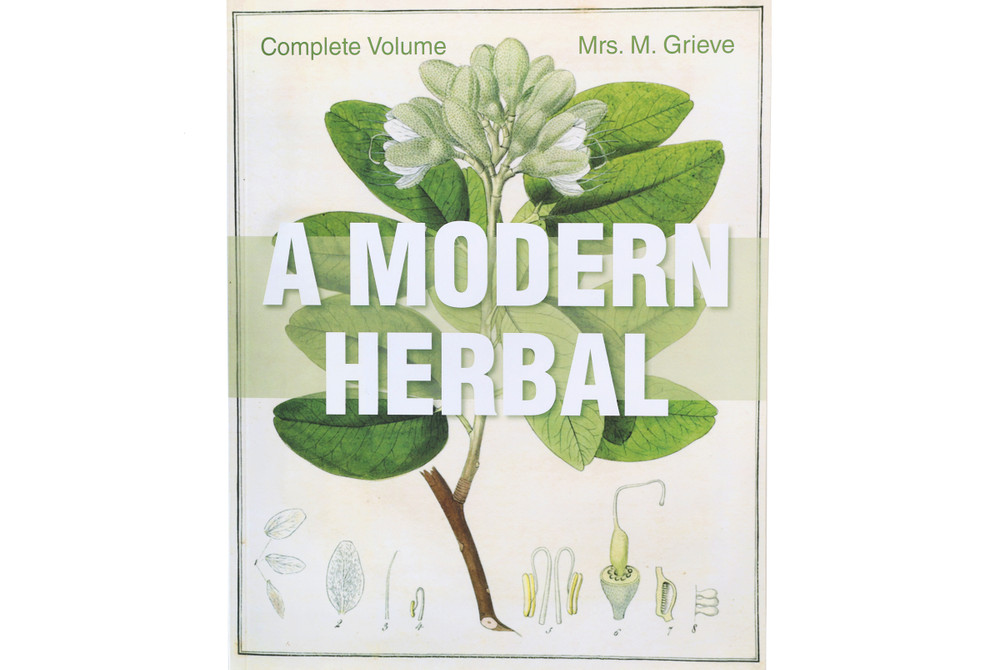 A_Modern_Herbal__28498.1776697119
