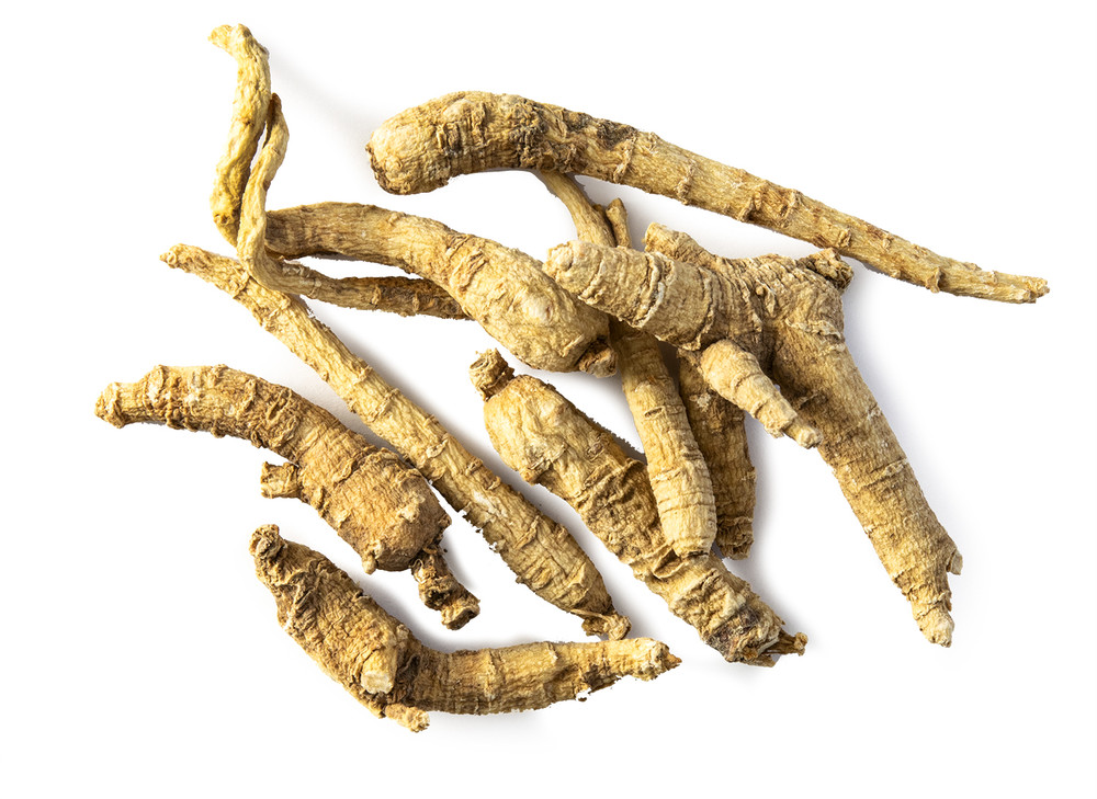 American_Ginseng_Root_2022-01-11__73048.1642117710
