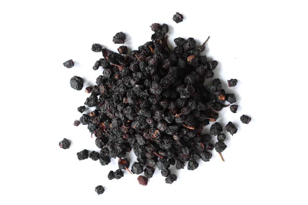 Bilberry_Fruit__07709.1772051595