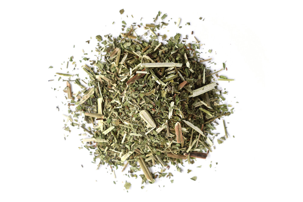 Blue_Vervain__48614.1772059115