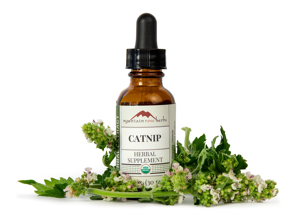 Catnip_Extract_2022-08-04__55516.1660847263