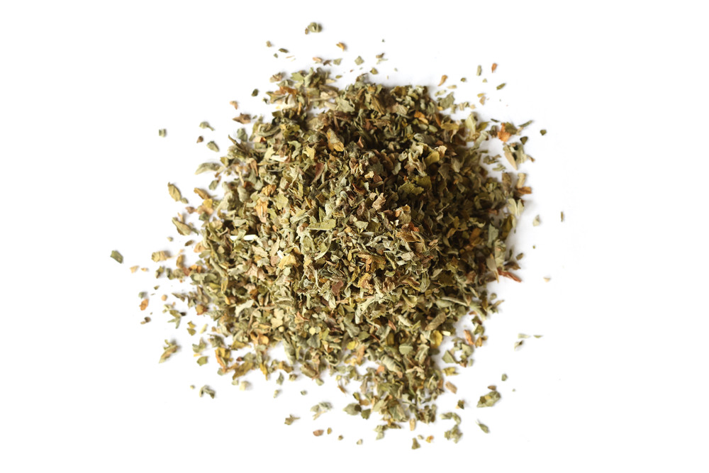 Catnip_Website__21638.1761778095