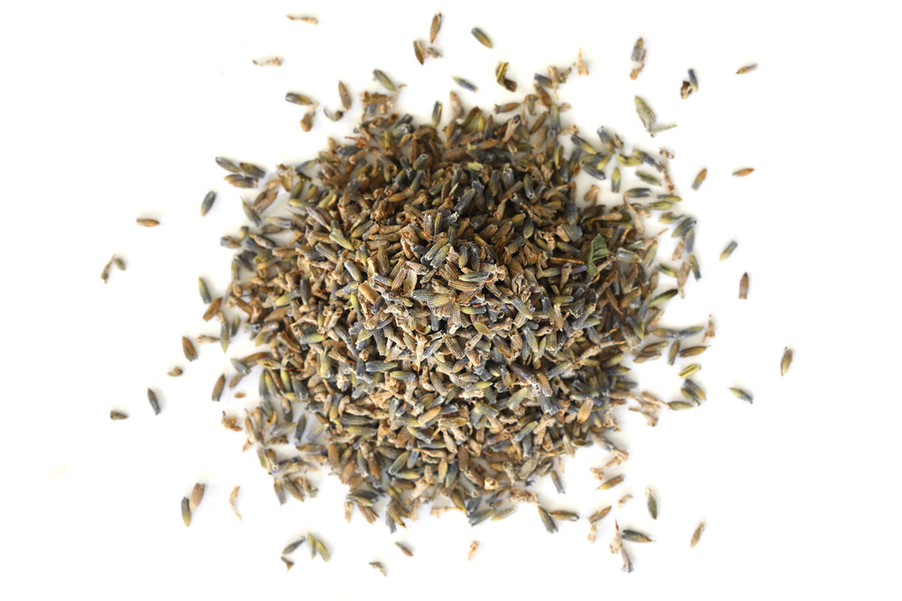 English_Lavender_H00223-014__89916.1731431064