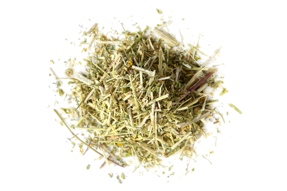 Feverfew__20137.1777411289