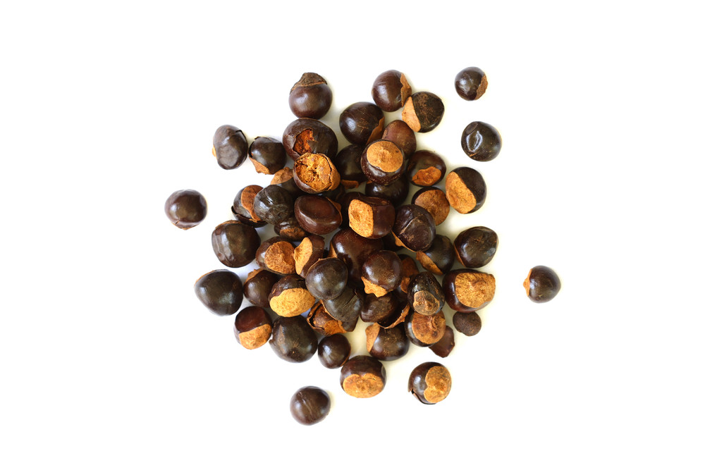 Guarana_Seed__20655.1777412215