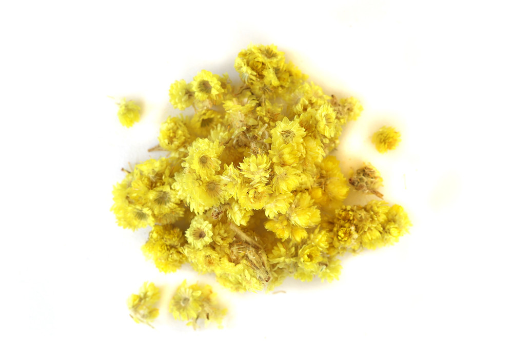 Helichrysum_Flowers__61040.1770147023