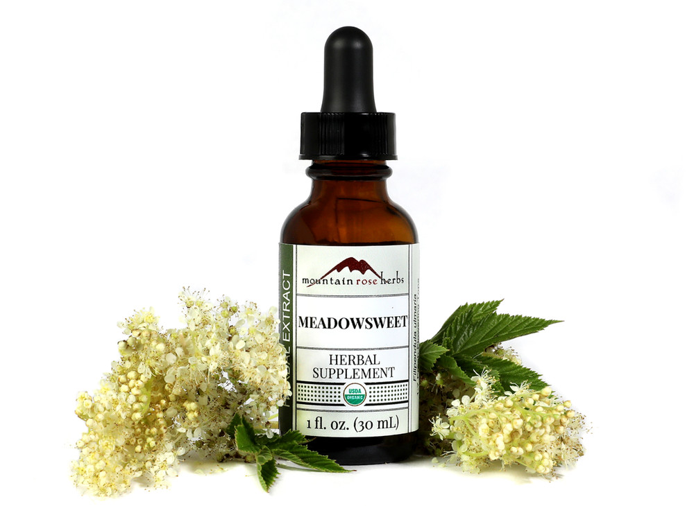 Meadowsweet_Extract__65949.1720625969