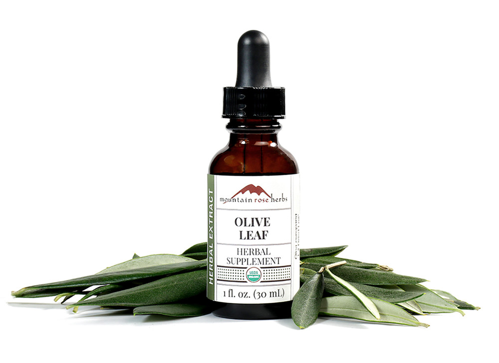 Olive_Leaf_Extract_2022-01-27__44084.1643320915