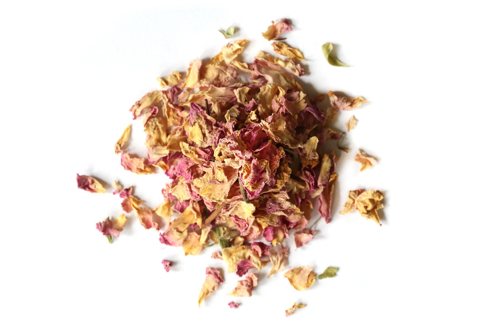 Pink_Rose_Petals_Website__25295.1763411676