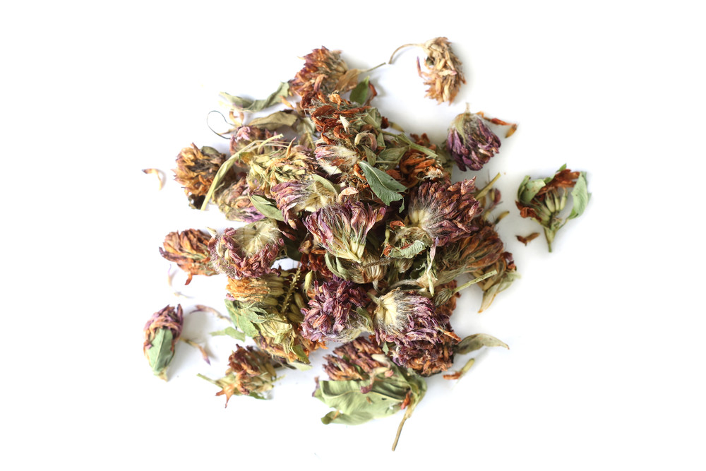 Red_Clover_Blossoms_NEW__01669.1775235992