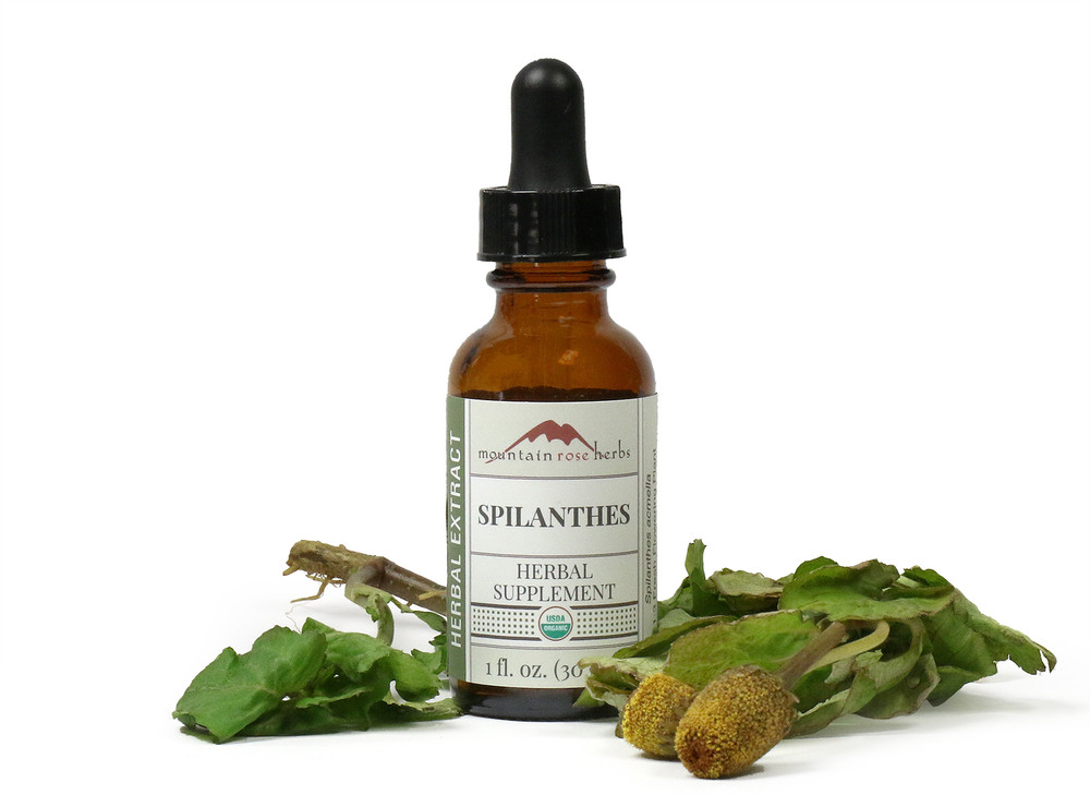 Spilanthes_Extract__35174.1634149275