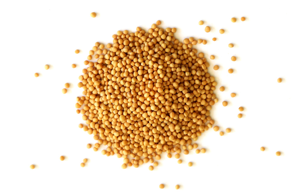 Yellow_Mustard_Seed_Overhead__41131.1769627418