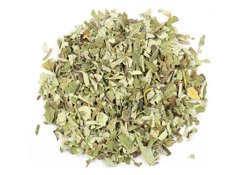 Yerba_Santa_OG_2019-04-25__16915.1696266856